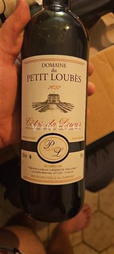 Sudoeste Côtes de Duras Domaine Petit Loubès 2022