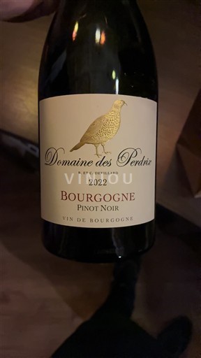 Bourgogne Domaine Des Perdrix Pinot Noir 2022