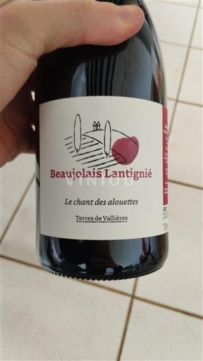Beaujolais Terres de Vallières Le chant des alouettes 2023