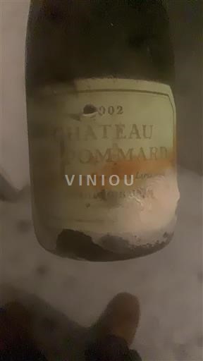 Bourgogne Pommard Château Pommard 2002