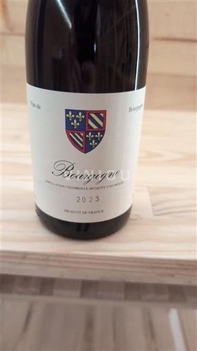 Burgundi Bourgogne Domaine Schmitt 2023