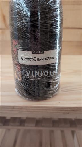 Borgogna Gevrey-Chambertin Domaine Henri Magnien 2013