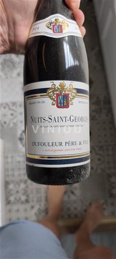 Bourgogne Nuits-saint-georges Dufouleur Père & Fils 2014