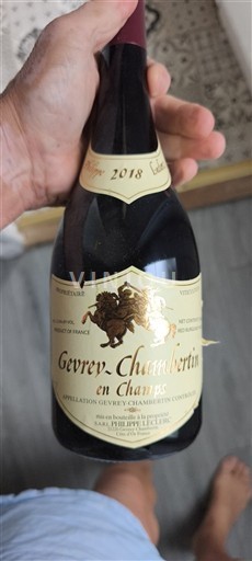 Borgogna Gevrey-Chambertin Domaine Alain Burguet En Champs 2018