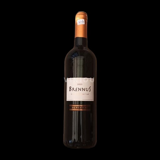 Sudoeste Bergerac Univitis Brennus - Prestige 2023