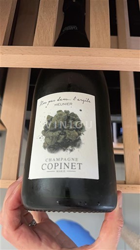 Champaña Champán Champagne Copinet Mon père, l'ami, l'exemple - Meunier Sin añada