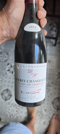 Borgogna Gevrey-Chambertin Premier Cru Domaine Tortochot 1er Cru - Les Champeaux 2014