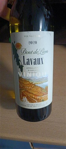 Vaud Unspecified Cave Saint-Denis Dent de Lion 2020