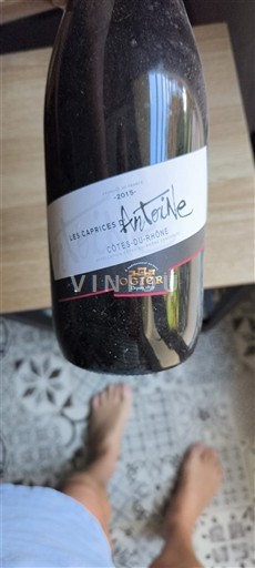 Vale do Ródano Côtes-do-Ródano Ogier Les Caprices d'Antoine 2015