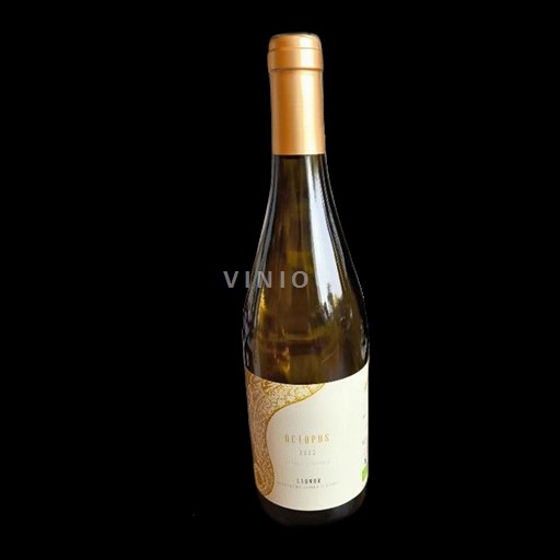 Valle del Loira Saumur Domaine L'Austral Octopus 2023