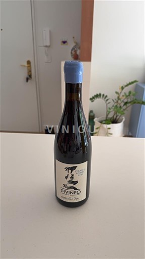 Jugozahod Cahors Mas del Périé Divineo 2022