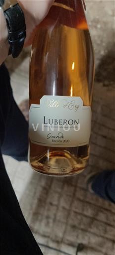 Valle del Rodano Luberon Villa Erg Gouria 2020