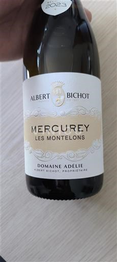 Borgonha Mercurey Domaine Albert Bichot - Adélie Les Montelons 2023
