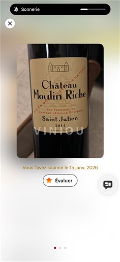 Bordeaux Saint-Julien Château Moulin Riche 2014