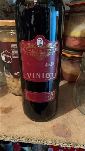 Bordeaux Saint-Émilion Valentin Fleur Les Testiméaux 2023