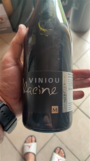 Burgundsko Mercurey Mercurey Racine 2023
