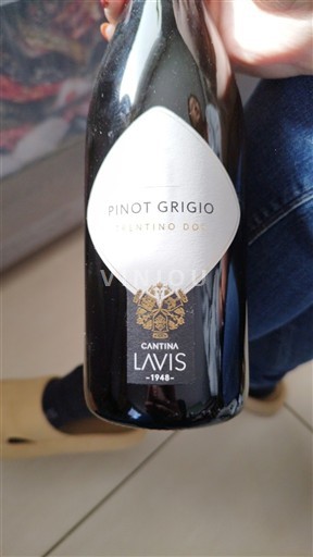 Wines of Trentino-Alto Adige Unspecified Cantina Lavis Non-Vintage