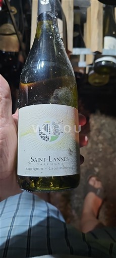 Sydvestfrankrig Côtes de Gascogne Saint-Lannes 2021