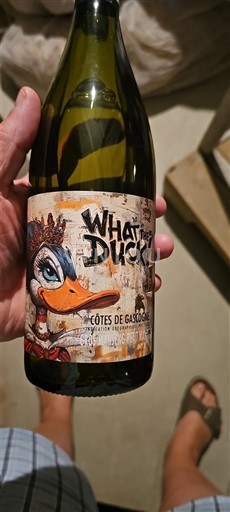 Zuidwest-Frankrijk Côtes de Gascogne What The Duck 2023