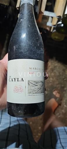 Southwest Marcillac Domaine Les Cayla Les Cayla 2018