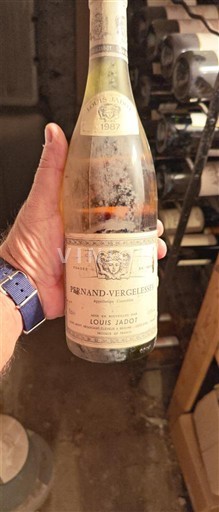 Borgogna Pernand-Vergelesses Louis Jadot 1987