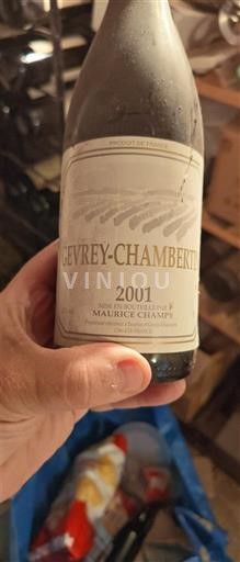 Borgogna Gevrey-Chambertin Maurice Champy 2001
