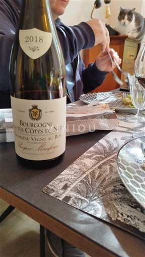 Burgundi Määrittelemätön Domaine Vigne au Roy Esprit Monique 2018