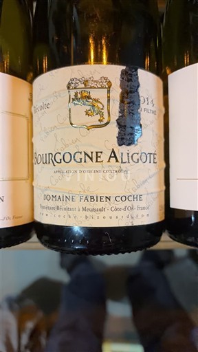 Bourgondië Bourgogne Aligoté Domaine Fabien Coche 2014