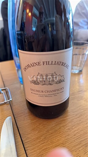 Loire Valley Saumur-Champigny Domaine Filliatreau 2021