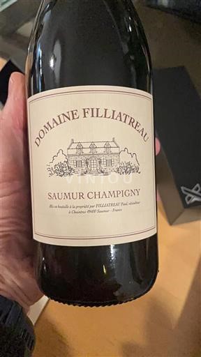 Thung lũng sông Loire Saumur-champigny Domaine Filliatreau 2021