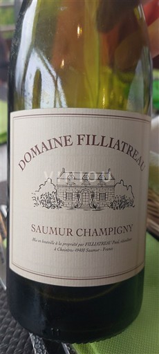 Vallée de la Loire Saumur-champigny Domaine Filliatreau 2021