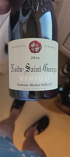 Bourgogne Nuits-Saint-Georges Domaine Michel Noëllat 2016