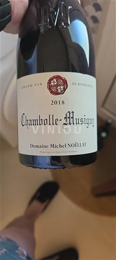Borgogna Chambolle-Musigny Domaine Michel Noëllat 2018