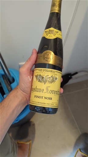 Alsace Gustave Lorentz 2015