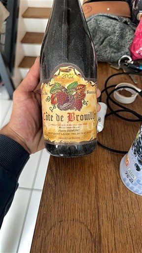 Beaujolais Côte-de-brouilly Domaine Bernard Dufouleur 2002