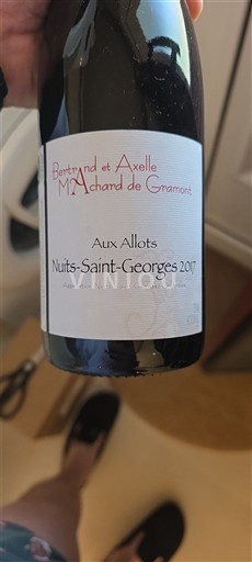 Borgogna Nuits-Saint-Georges Bertrand et Axelle Machard de Gramont Aux Allots 2017
