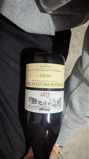 Bourgogne Bourgogne Côte d'Or Domaine Bart 2022