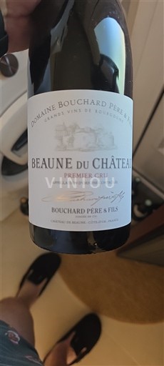 Borgogna Beaune Premier Cru Bouchard Père & Fils Beaune du Château 2015