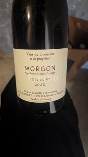 Beaujolais Morgon Domaine Joubert Côte du Py 2022