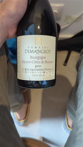 Bourgondië Hautes Côtes de Beaune Domaine Demangeot Amandine Poinsot 2022