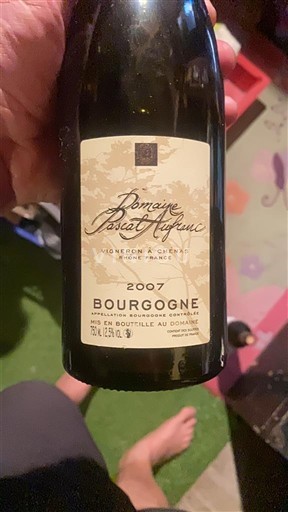 Burgundi Bourgogne Domaine Parigot 2007