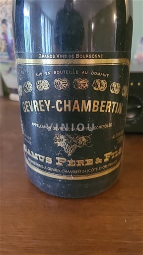 Borgogna Gevrey-Chambertin Camus Père & Fils 2010