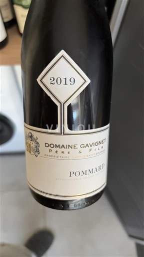 Burgundi Pommard Domaine Gavignet Père & Fils 2019