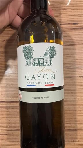 Bordeaux Bordeaux Blanc Château Gayon 2024