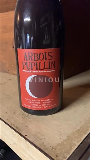 Jura Arbois GAEC Bruyère - Houillon Ploussard en Aspis 2020
