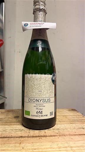 Katalonien Cava Canals & Munné Dionysus Reserva 2016