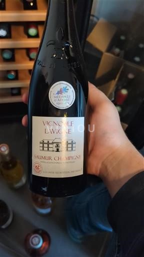 Valle della Loira Saumur-Champigny Vignoble Lavigne 2024