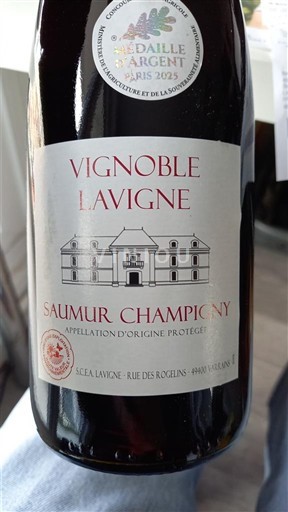 Loiredalen Saumur-champigny Vignoble Lavigne 2024