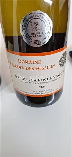 Burgund Mâcon und Mâcon-Dörfer Domaine Terroir des Fossiles 2024