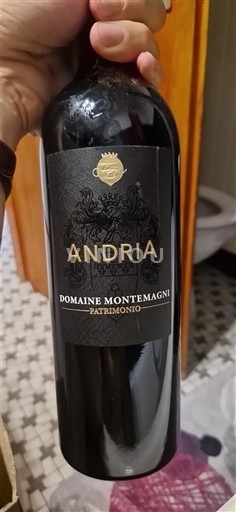 Korsika Patrimonio Domaine Montemagni Andria 2021